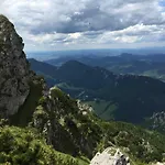 Drevenica Vanesa *