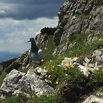 Drevenica Vanesa Chalet Terchová